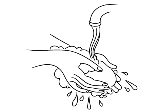 Étape 1 : Désinfecter le comptoir de cuisine et se laver les mains à l’eau savonneuse.