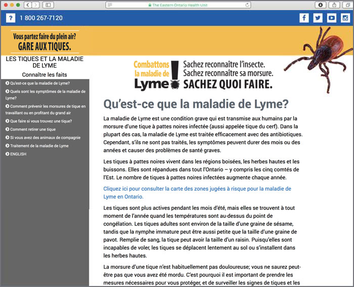 Les tiques et la maladie de Lyme
